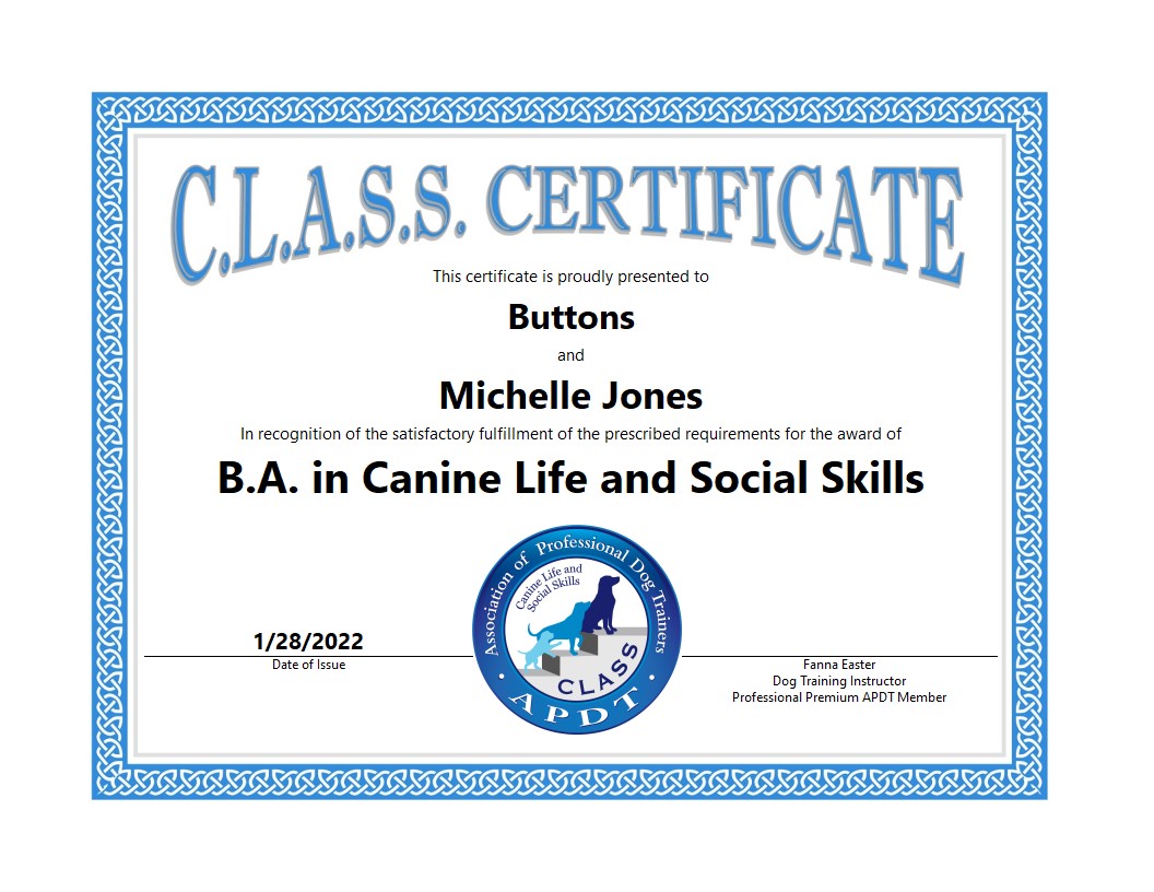 Certificate - BA