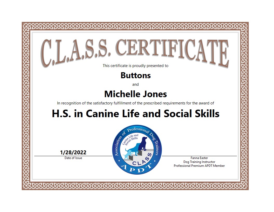 Certificate - HS