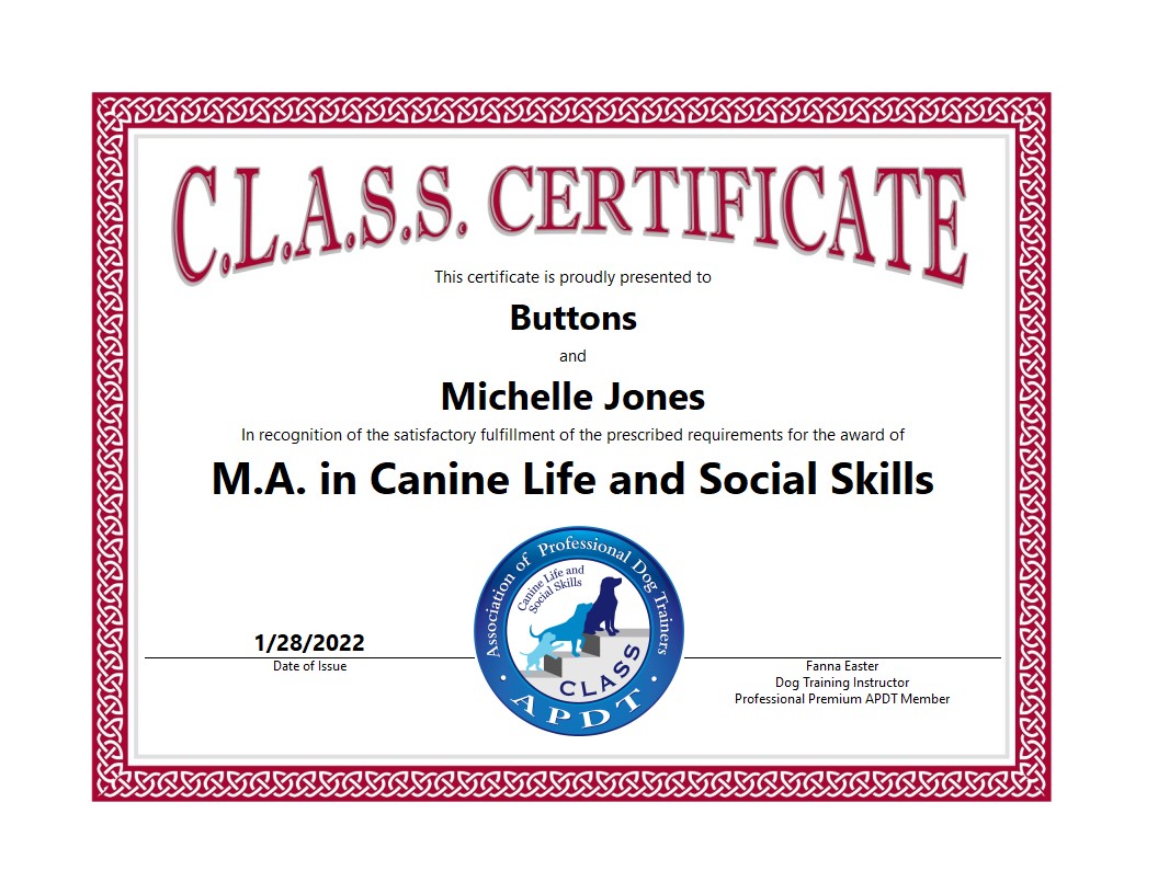 Certificate - MA